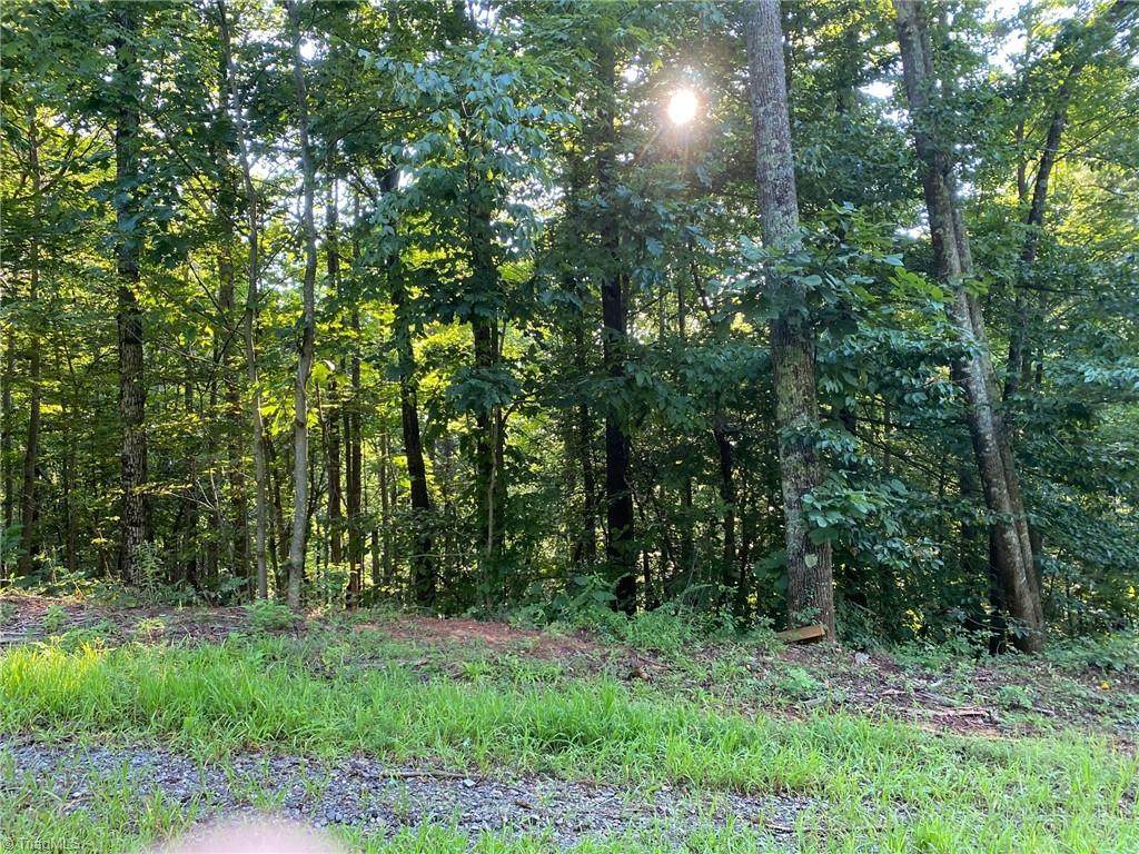 LT 18 Falcon Ridge Drive - Photo 1
