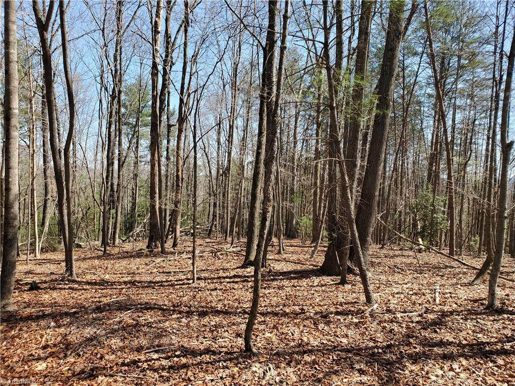 0 High Rock Road - Photo 1