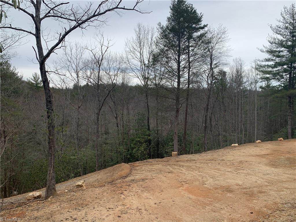 Lot 23 Green Pasture Lane - Photo 1