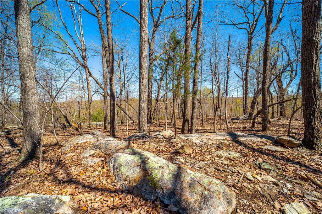 5463 Eagles Nest Trail - Photo 1