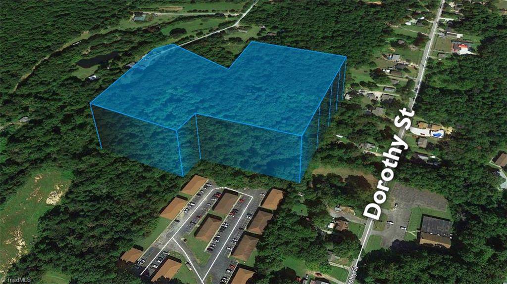 253 Dorothy Street - Photo 1