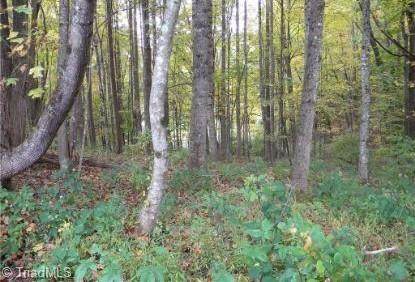 TBD Sunnyside Park Road - Photo 1