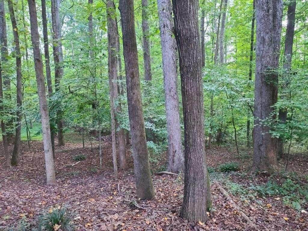 728 Luxbury Road - Photo 1