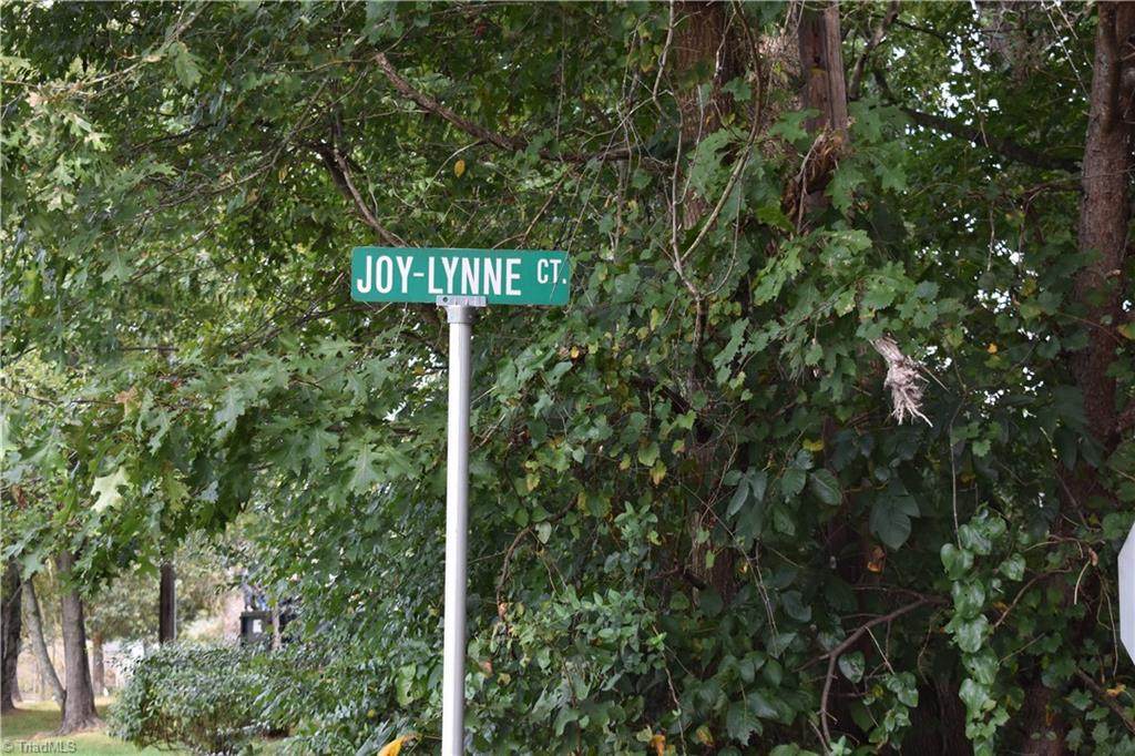 0 Joy Lynne Court - Photo 1