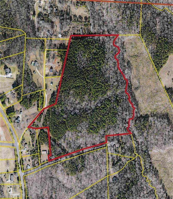 29.77 AC Hutchens Road - Photo 1