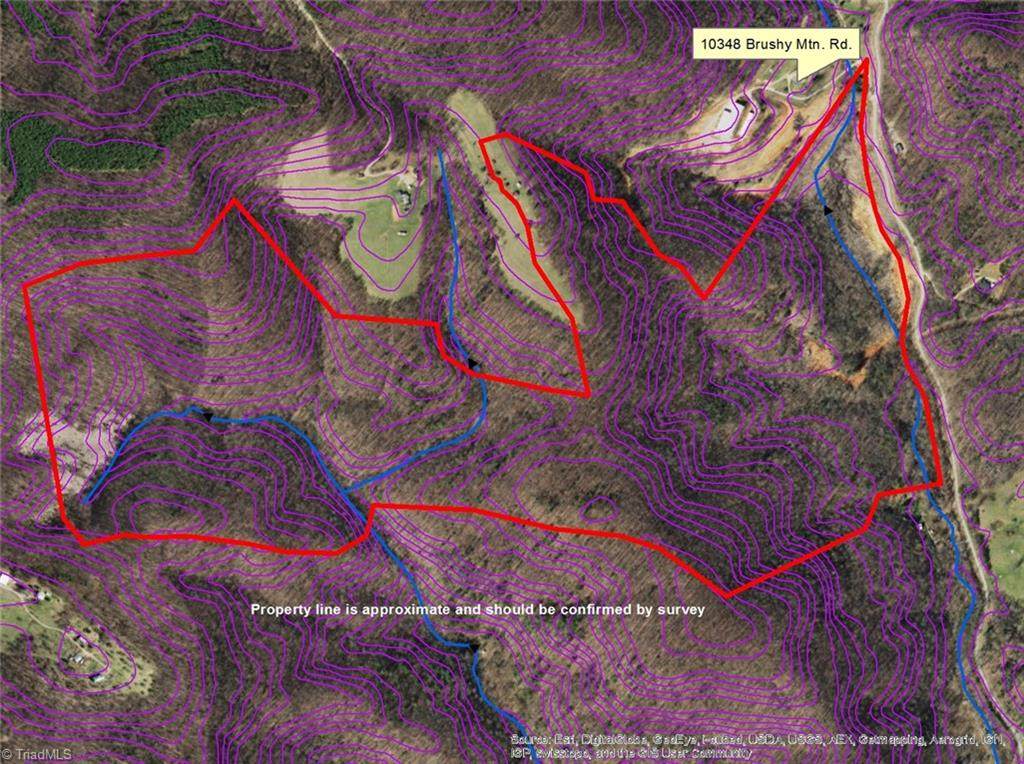 000 Brushy Mountain Road - Photo 1