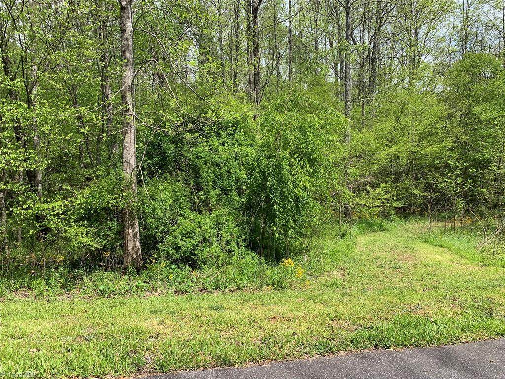 Lots 20 & 21 Zinzendorf Lane - Photo 1