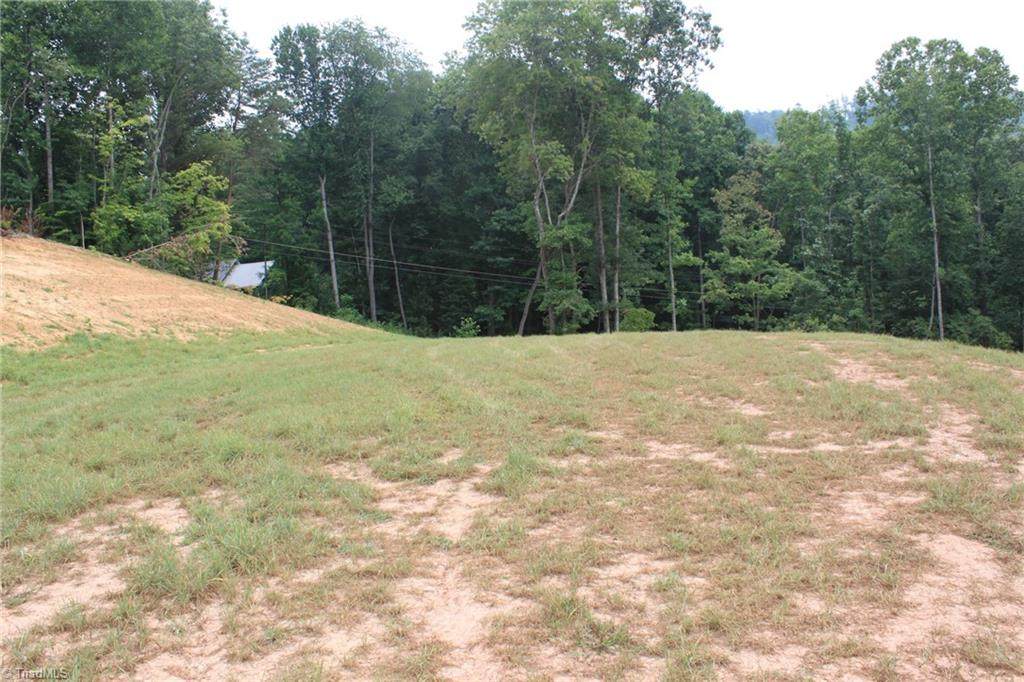 TBD-1 Hollowview Drive - Photo 1
