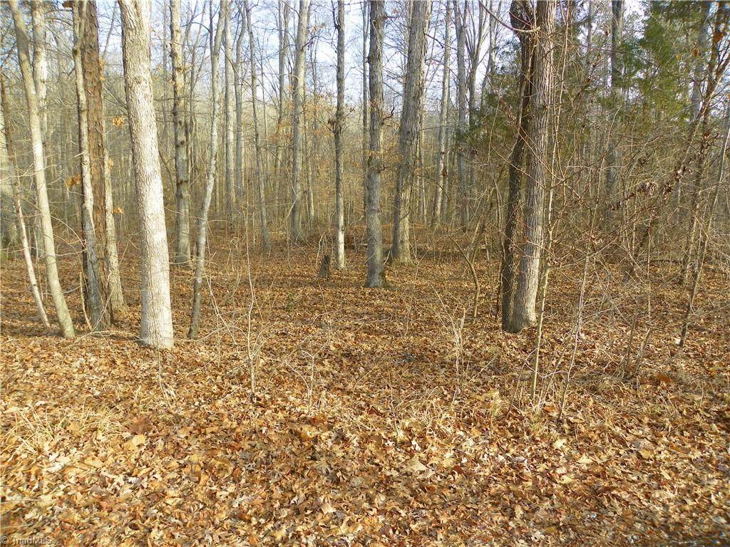 00 Kimbrell Street - Photo 1