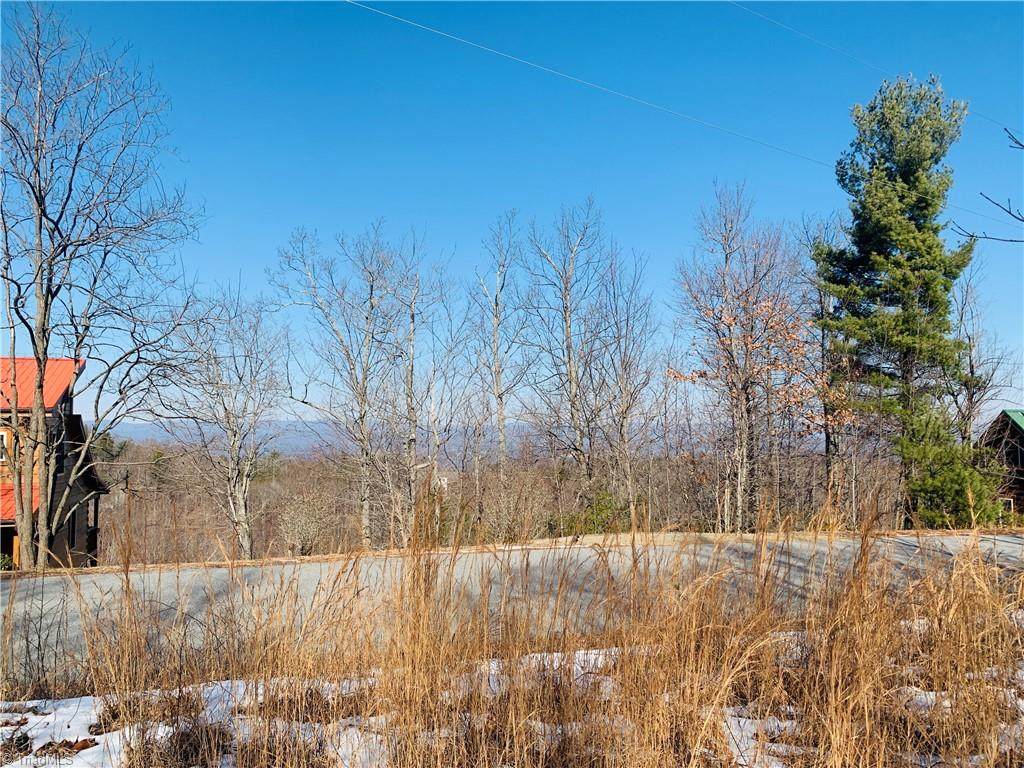 Lot 79 Ridge Run Road - Photo 1