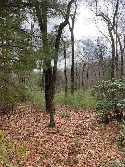 Lot 13 Broomtail Lane - Photo 1