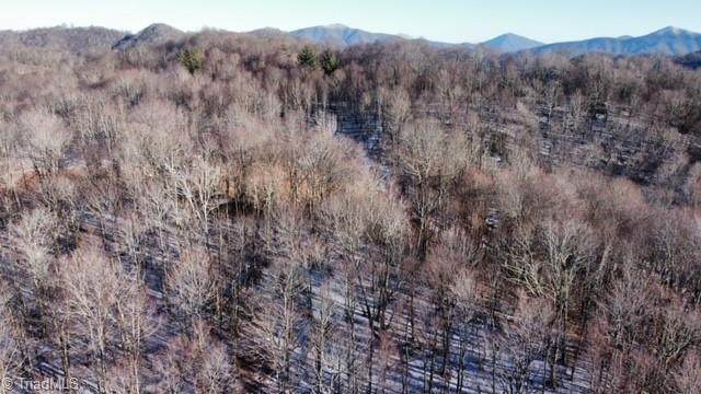 TBD Roaring Branch Road - Photo 1