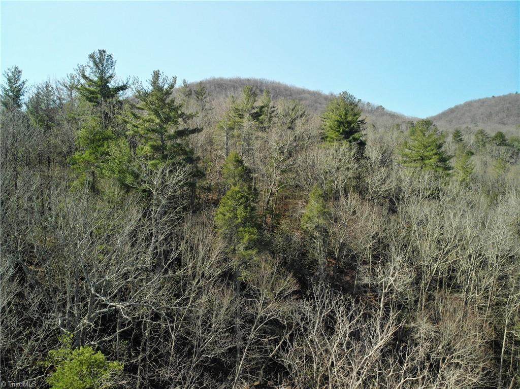 V/L Cane Creek Church Road - Photo 1