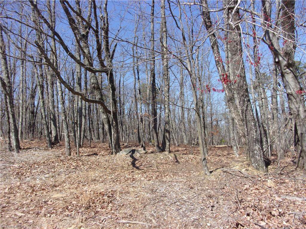 0 Sauratown Mountain Road - Photo 1