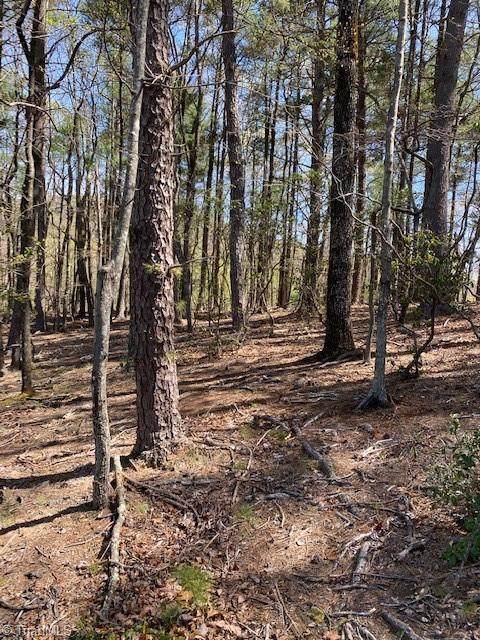 LT 189 Blazing Ridge Road - Photo 1