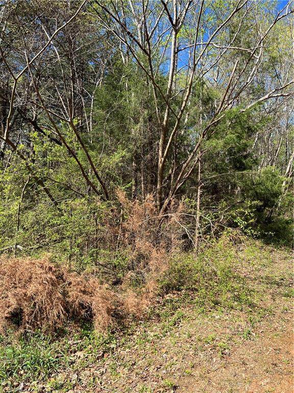 0 Fanning Road - Photo 1
