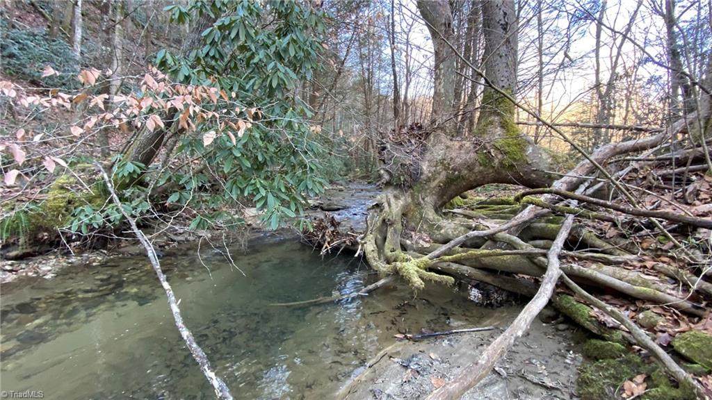 TBD Old Field Creek Lane - Photo 1