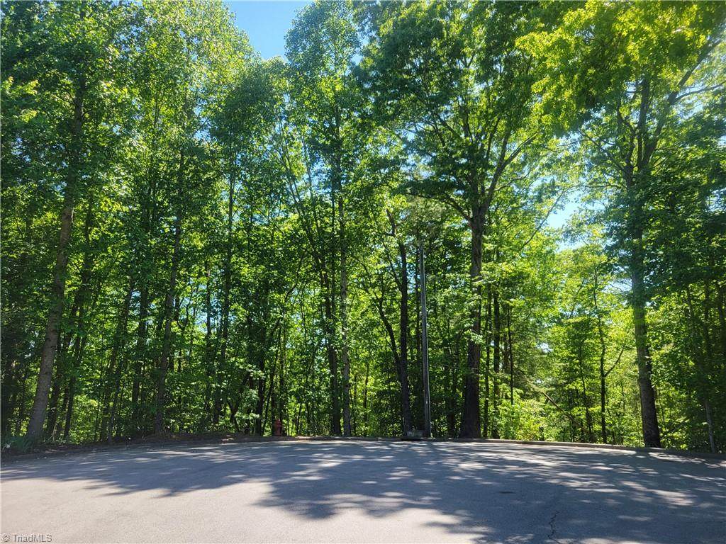00 Colonial Heights - Photo 1