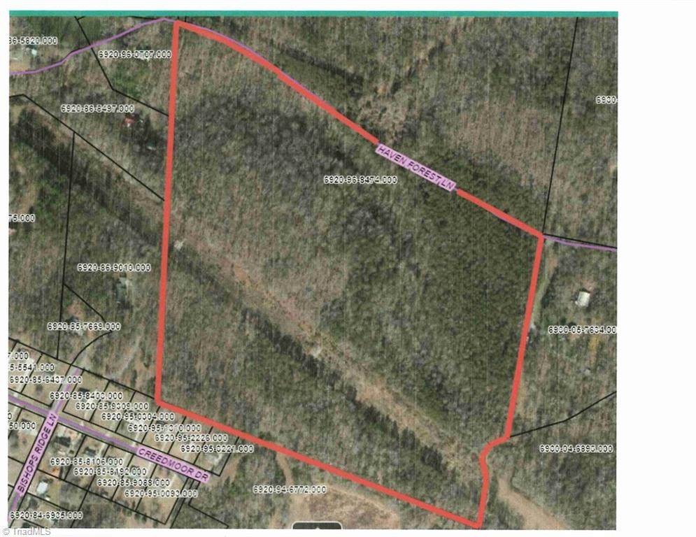 Tract A Haven Forest Lane - Photo 1