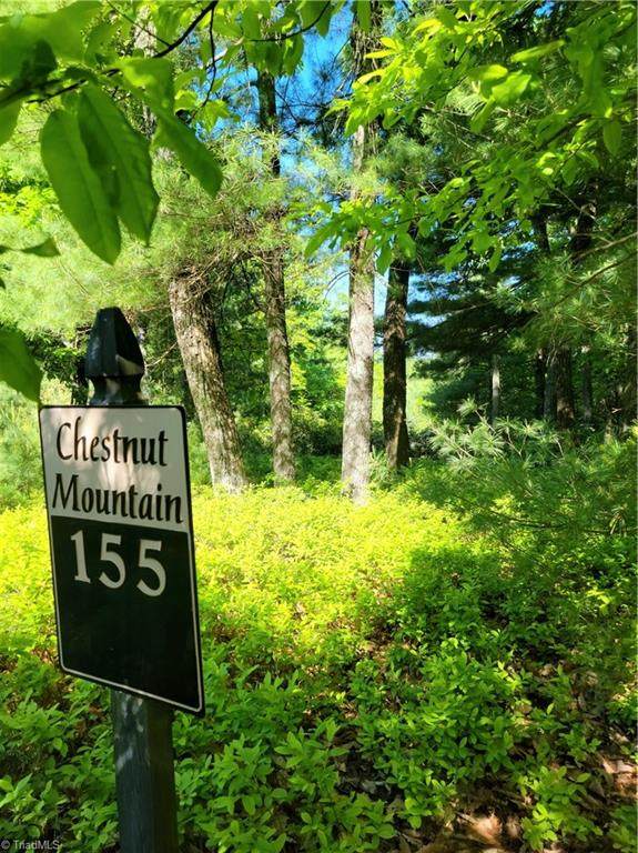 TBD Carriage House Trail - Photo 1