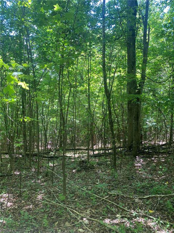 TBD Mill Creek Road - Photo 1