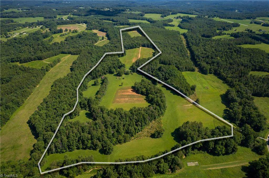 1135 Daisy Creek Farm Road - Photo 1