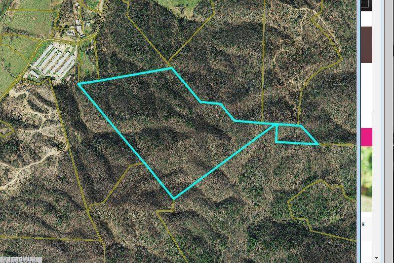 000 Long Fork Road - Photo 1