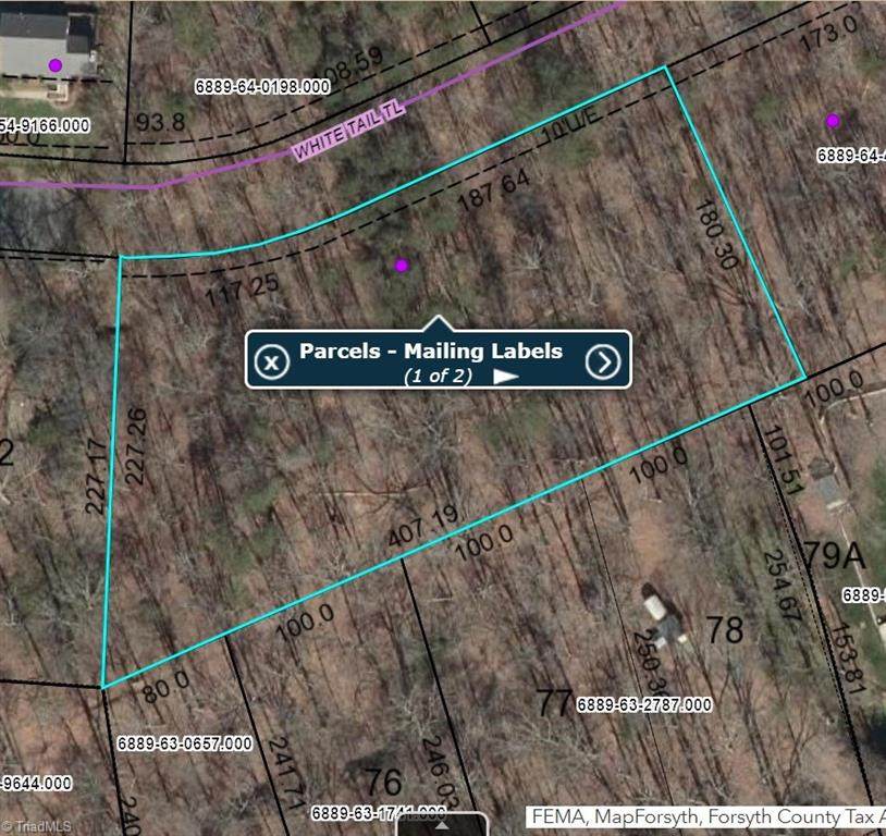 9454 White Tail Trail - Photo 1