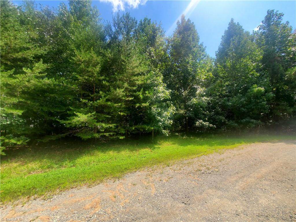 0 Hollow Tree Drive - Photo 1