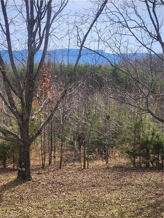 1090 Brandon Lane - Photo 1