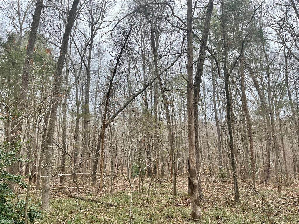 0 Pineview Road - Photo 1
