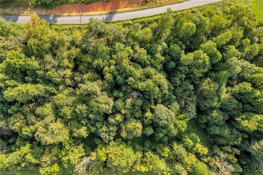 Lot 19 Regal Oaks Drive - Photo 1