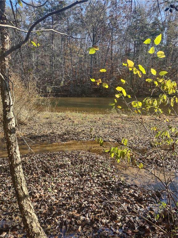 Portion of 1790 Mallard Lakes Drive - Photo 1