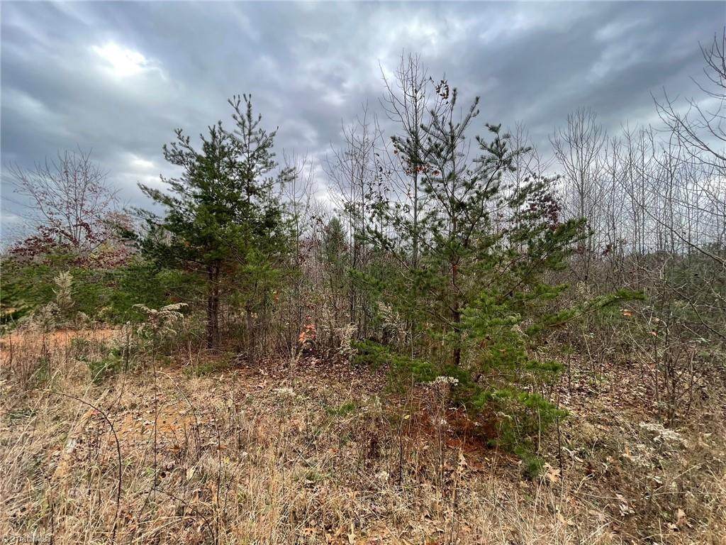 Lot 12 Pulco Lane - Photo 1