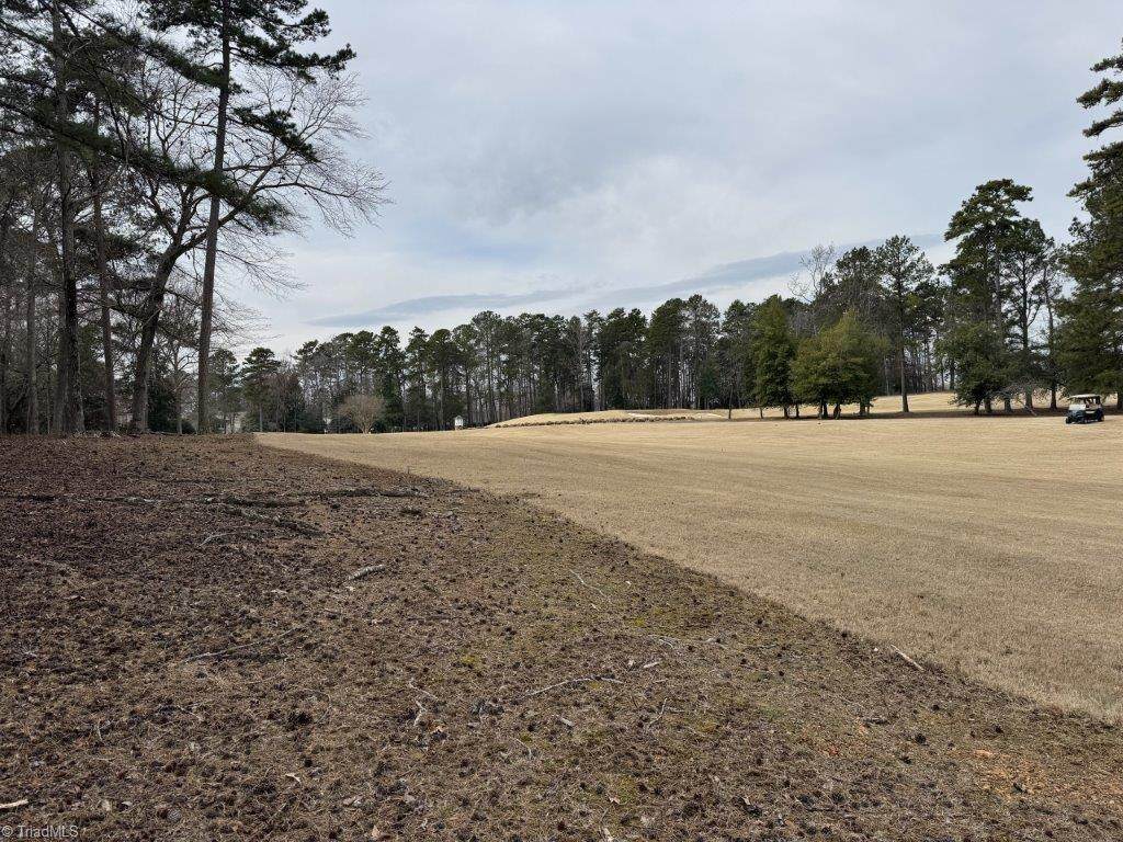 104 Old North State Lane - Photo 1