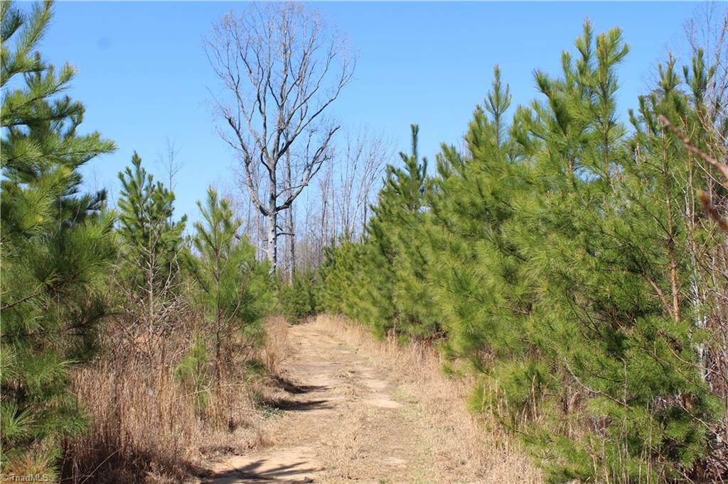 0 Jones Road - Photo 1