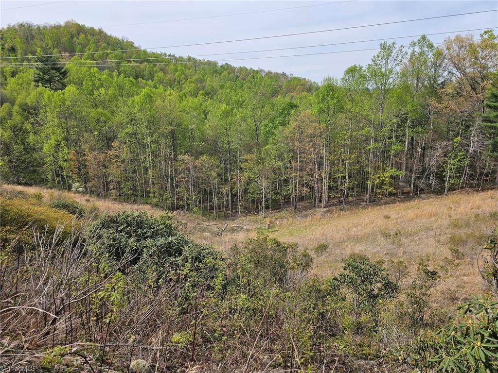 Off Nc Highway 16 - Photo 1