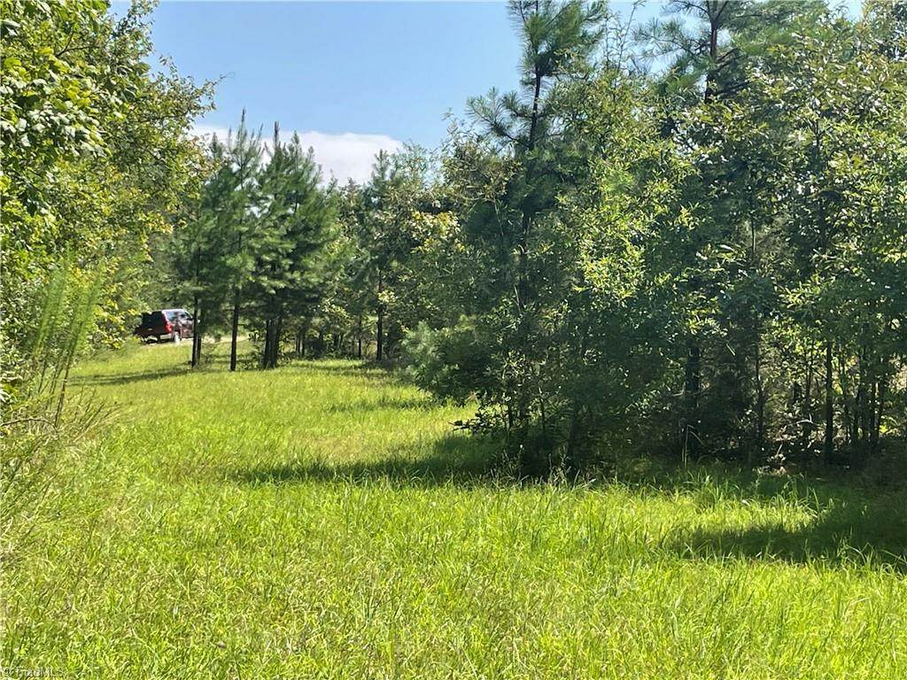 0 Julia Avenue - Photo 1