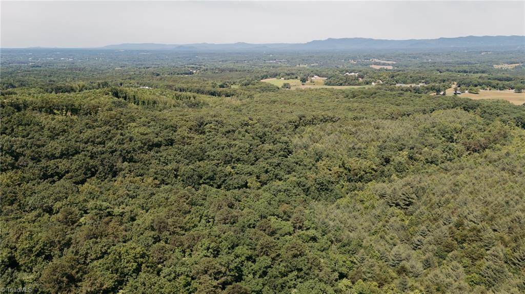 xx 44.93 Acres Stardust Trail - Photo 1