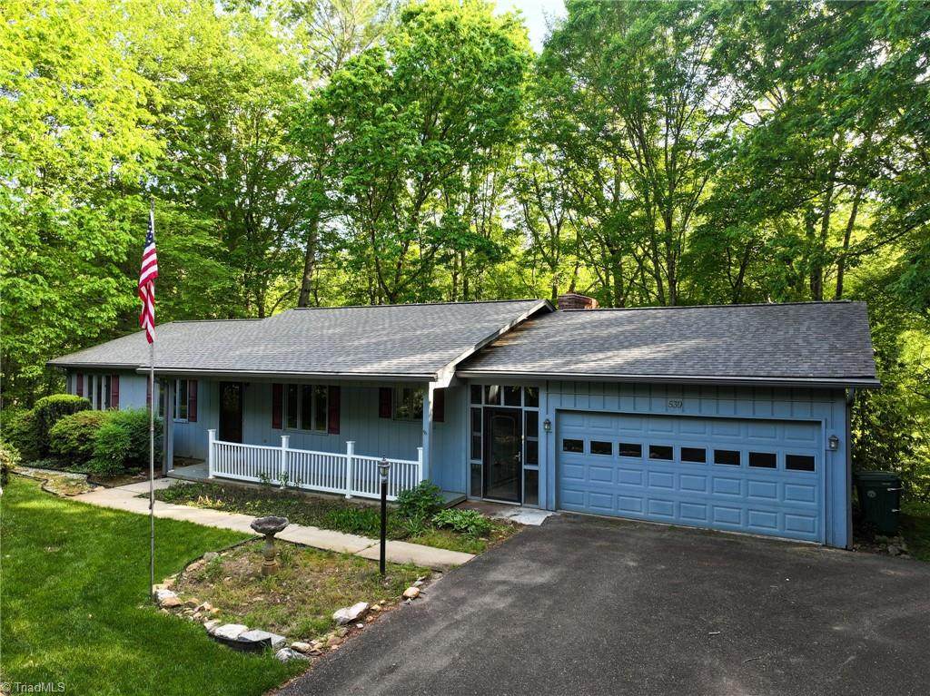 539 Pine Creek Trail - Photo 1