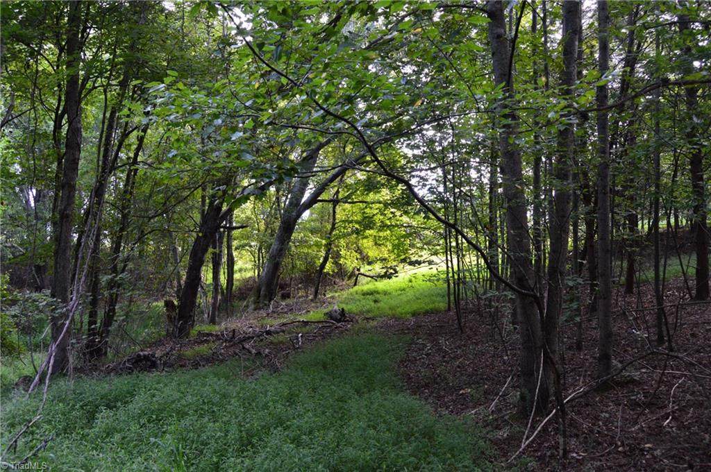 02 Hanging Rock Forest Road - Photo 1