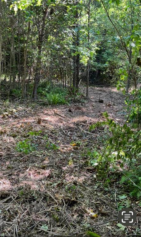 00 Albion Church Road - Photo 1