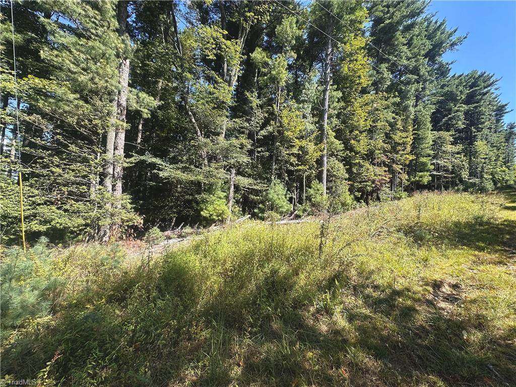 TBD Pine Grove Circle - Photo 1