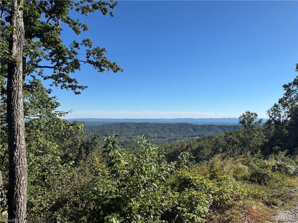 Tract 47 Widow Mountain Drive - Photo 1