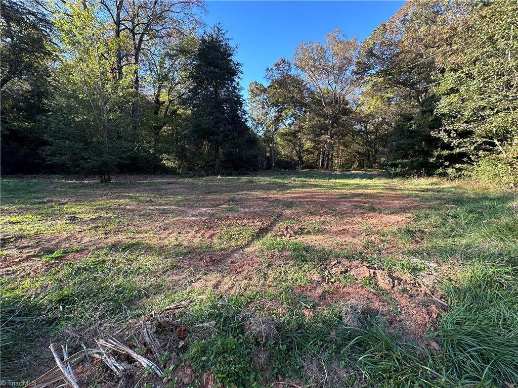 00 Courtney Huntsville Road - Photo 1