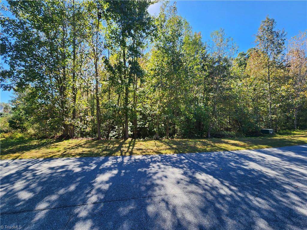485 Saddlebred Loop - Photo 1