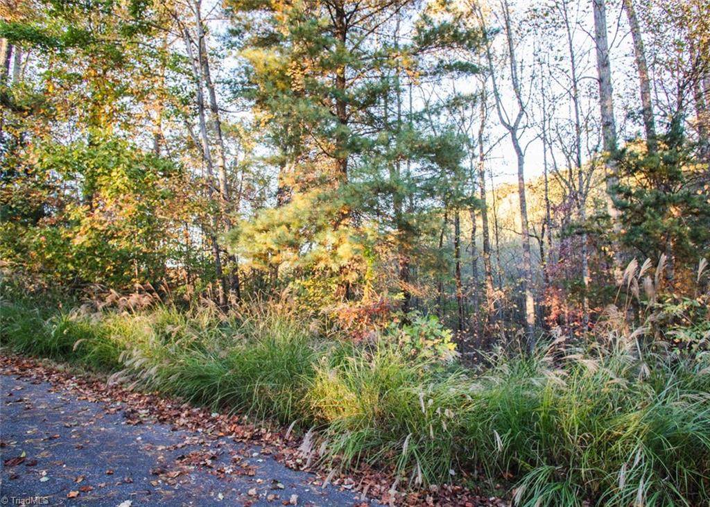TBD Lot 17 Chestnut Falls Drive - Photo 1