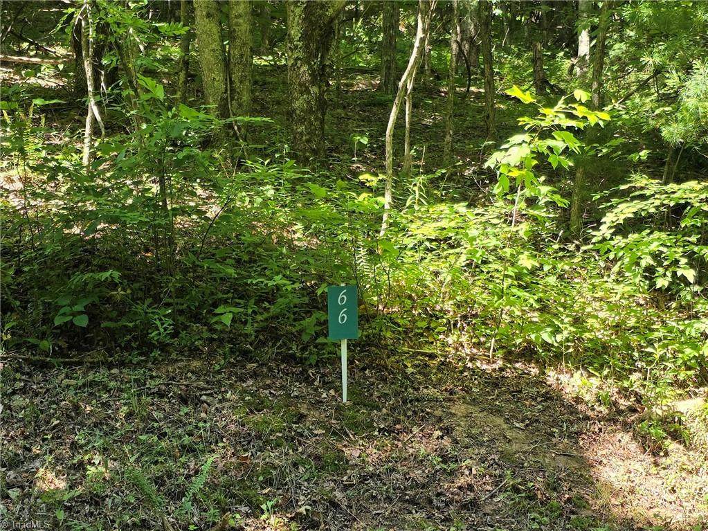 TBD 66 White Tail Trail - Photo 1