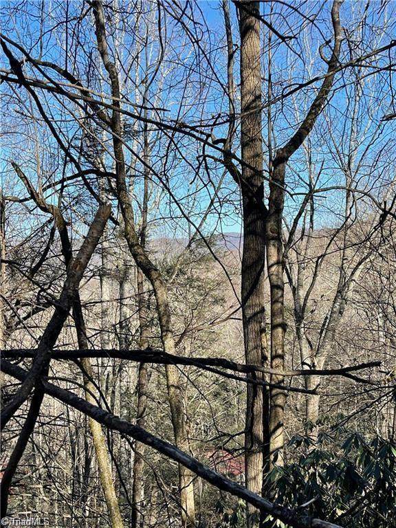 Lot E-15 Laurel Ridge Road - Photo 1