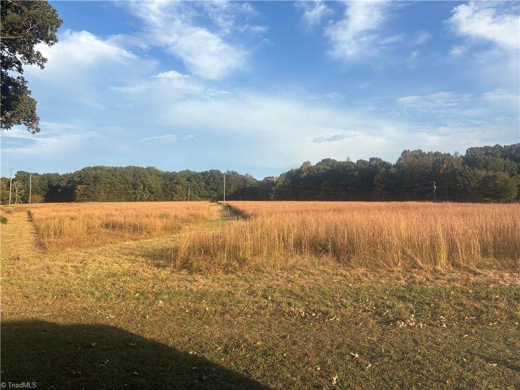 3075 Benny Lineberry Road - Photo 1